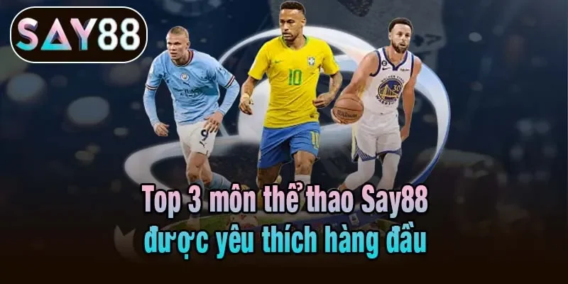Top 3 môn thể thao Say88 được yêu thích hàng đầu